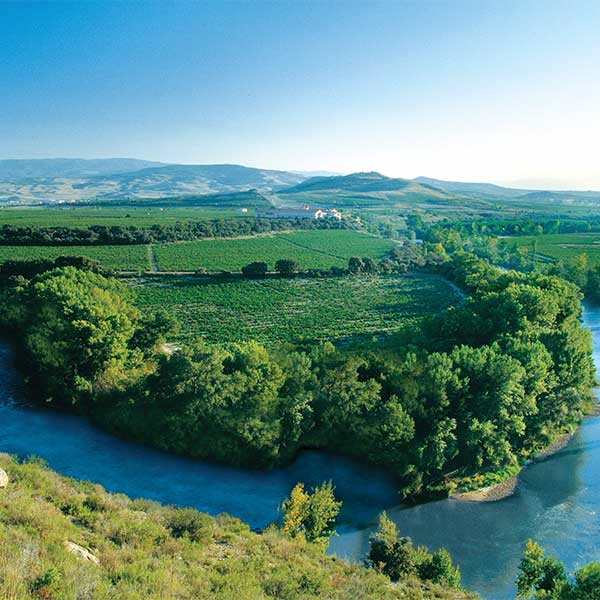 Bodega Finca Valpiedra