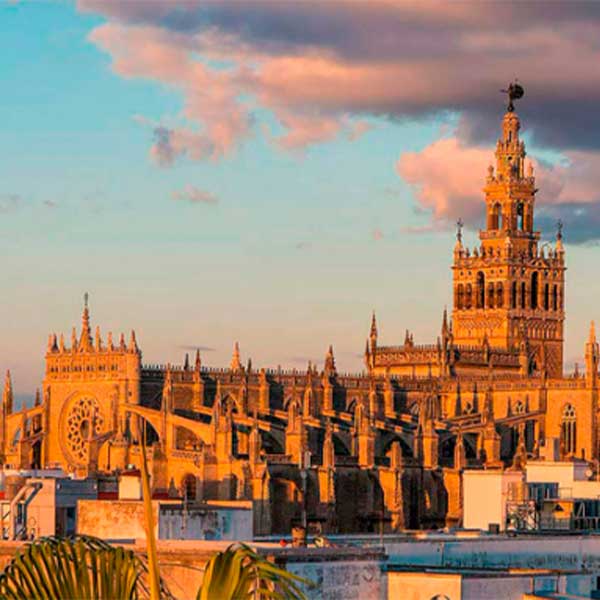 Catedral de Sevilla e Iglesia del Salvador