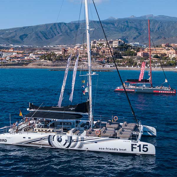 Freebird Catamaran