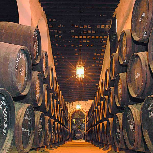 Visita una Bodega de Jerez