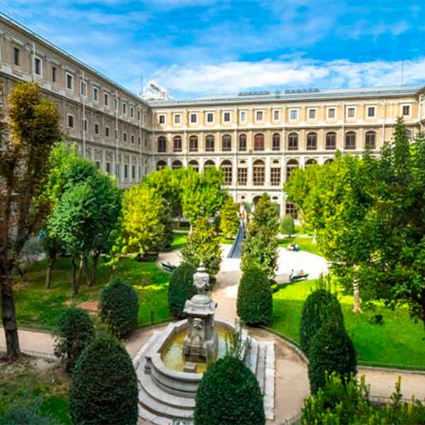 Visita al Museo Reina Sofia