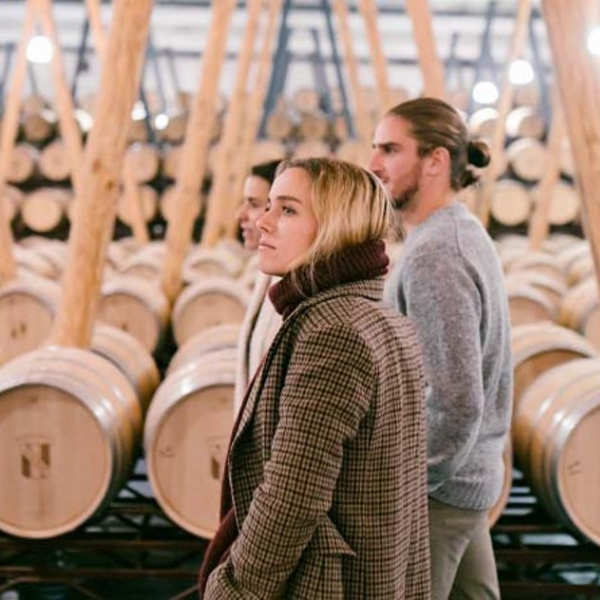 Bodega Bela - Villalba de Duero (Burgos)