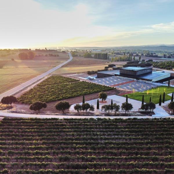 Bodega Bela - Villalba de Duero (Burgos)