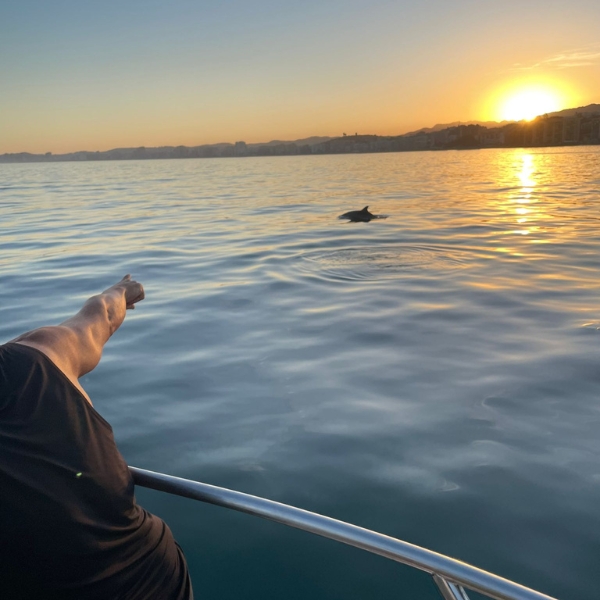 Tours y Excursiones en Barco - Fuengirola