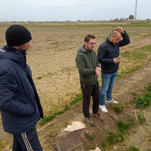 Visitas en el Delta del Ebro