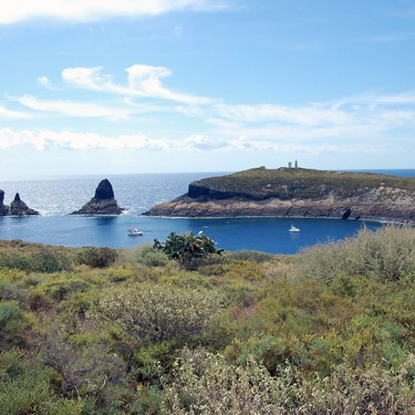 Excursión a Las Columbretes desde Alcossebre