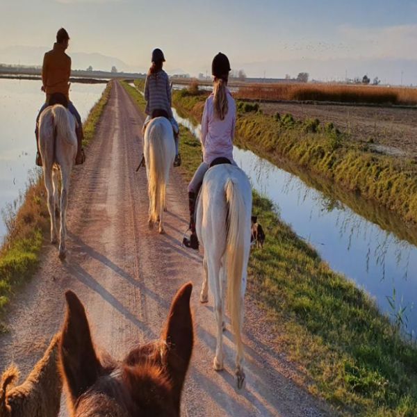 Paseo a Caballo por el Parque Natural del Delta del Ebro