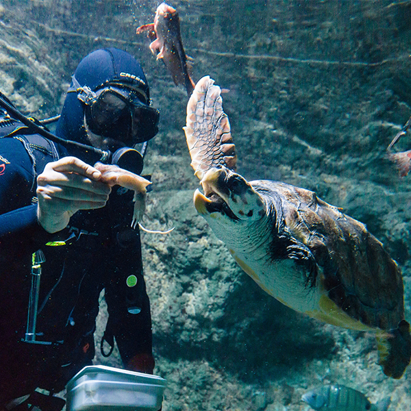 Aquarium Costa de Almería